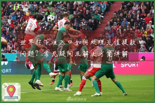 世界杯下注入口如何处理充值提款问题?常见疑问及解决方案详解