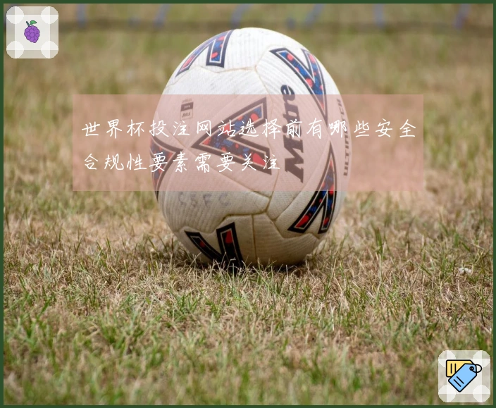世界杯投注网站选择前有哪些安全合规性要素需要关注
