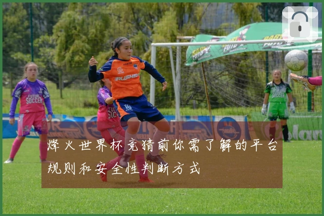 烽火世界杯竞猜前你需了解的平台规则和安全性判断方式