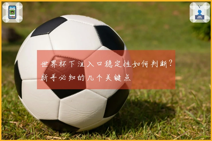 世界杯下注入口稳定性如何判断?新手必知的几个关键点