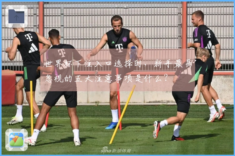 世界杯下注入口选择时，新手最易忽视的五大注意事项是什么？