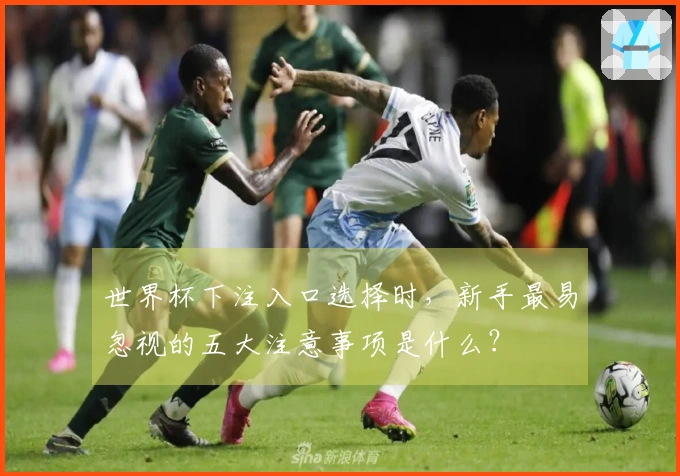 世界杯下注入口选择时，新手最易忽视的五大注意事项是什么？