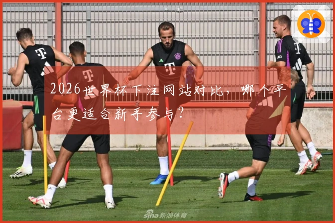 2026世界杯下注网站对比，哪个平台更适合新手参与？