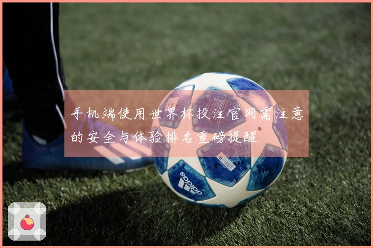 手机端使用世界杯投注官网需注意的安全与体验排名重磅提醒